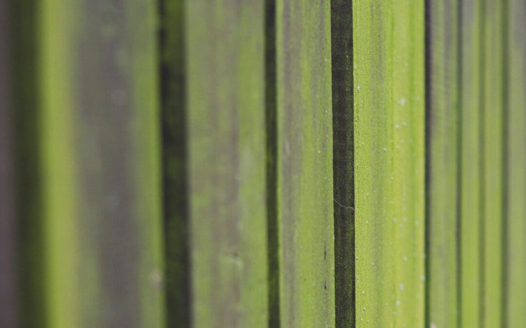 how-to-clean-green-algae-from-your-garden-fence-abs-fencing